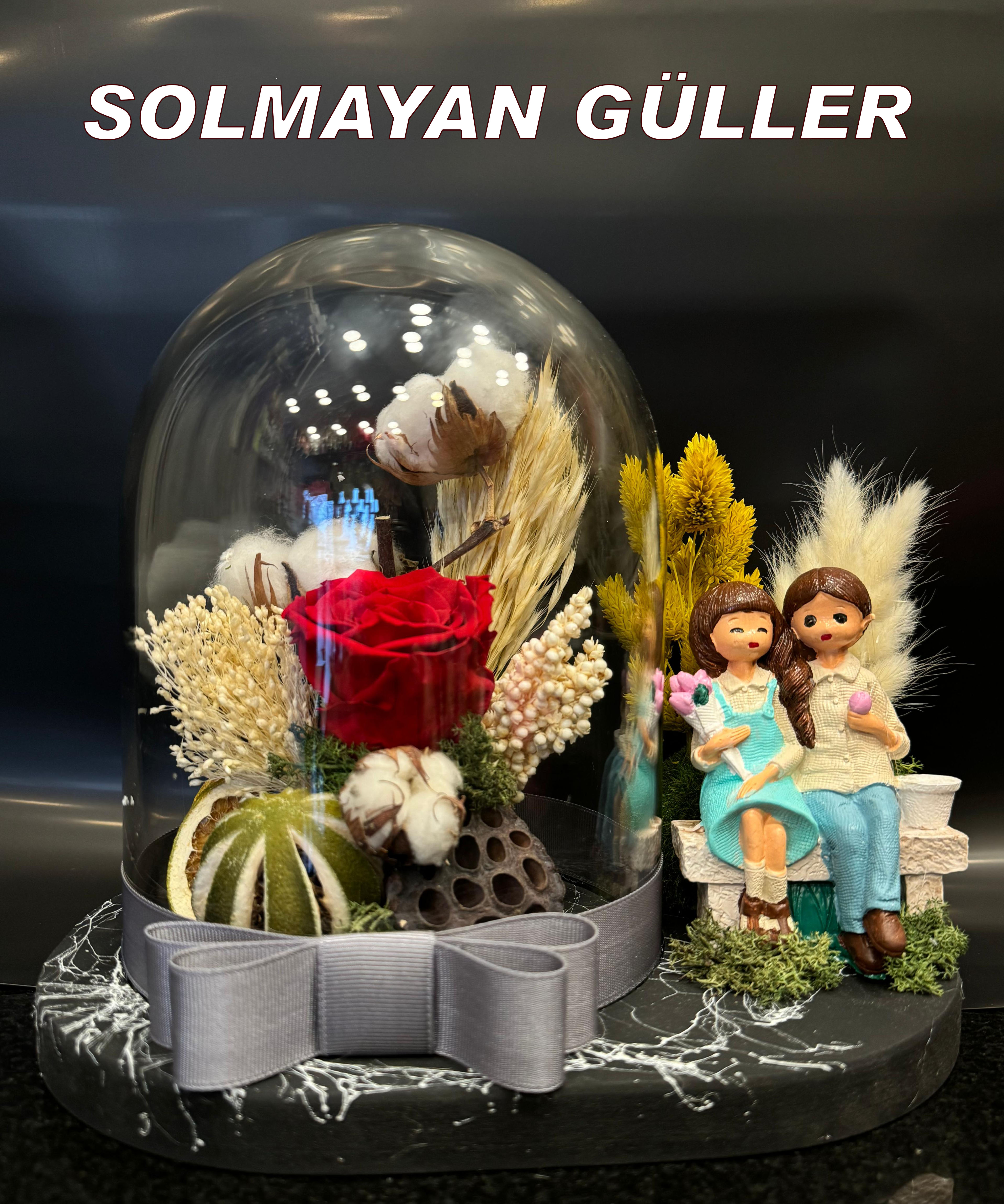 Solmayan Güller   [ Kategori ]
